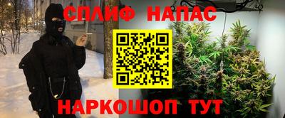 Альфа ПВП Кингисепп