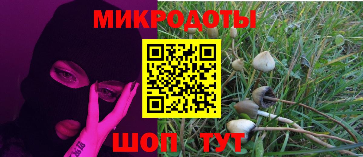 Углич  Псилоцибиновые грибы GOLDEN TEACHER  Вход с VPN 